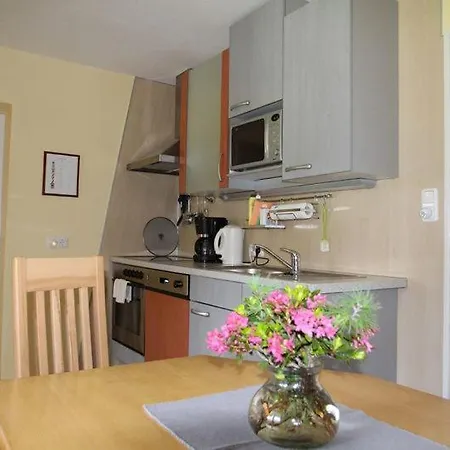 Appartement Genigau Wagrain Exterior foto
